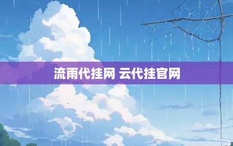 流雨代挂网 云代挂官网