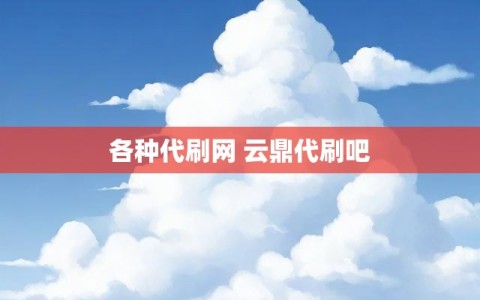 各种代刷网 云鼎代刷吧