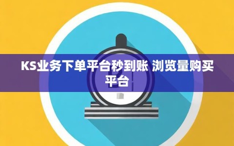 KS业务下单平台秒到账 浏览量购买平台