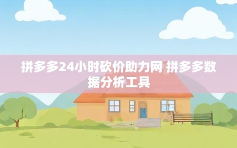 拼多多24小时砍价助力网 拼多多数据分析工具