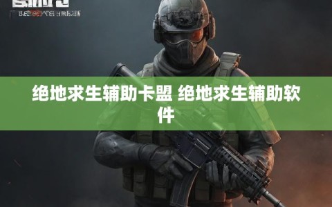 绝地求生辅助卡盟 绝地求生辅助软件