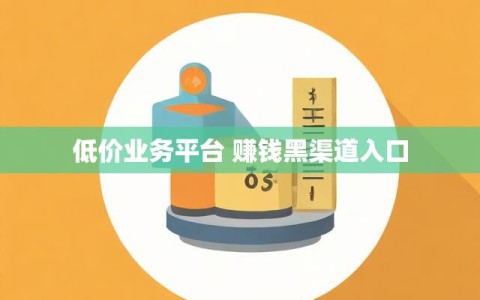 低价业务平台 赚钱黑渠道入口