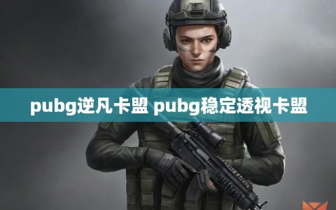 pubg逆凡卡盟 pubg稳定透视卡盟