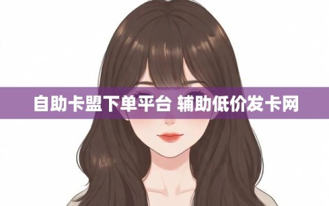 自助卡盟下单平台 辅助低价发卡网