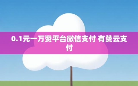 0.1元一万赞平台微信支付 有赞云支付