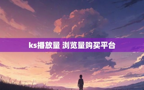 ks播放量 浏览量购买平台