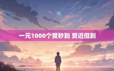 一元1000个赞秒到 赞迟但到