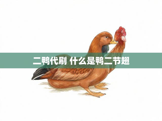 二鸭代刷 什么是鸭二节翅