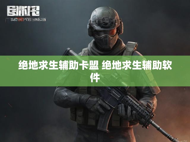 绝地求生辅助卡盟 绝地求生辅助软件