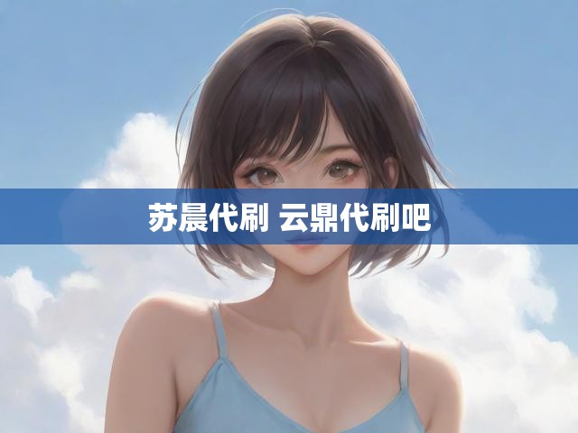苏晨代刷 云鼎代刷吧