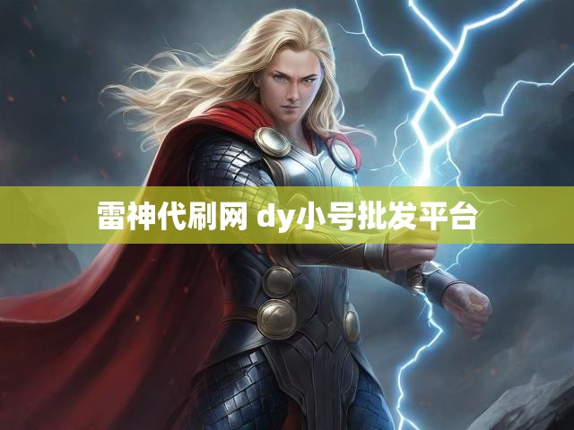雷神代刷网 dy小号批发平台