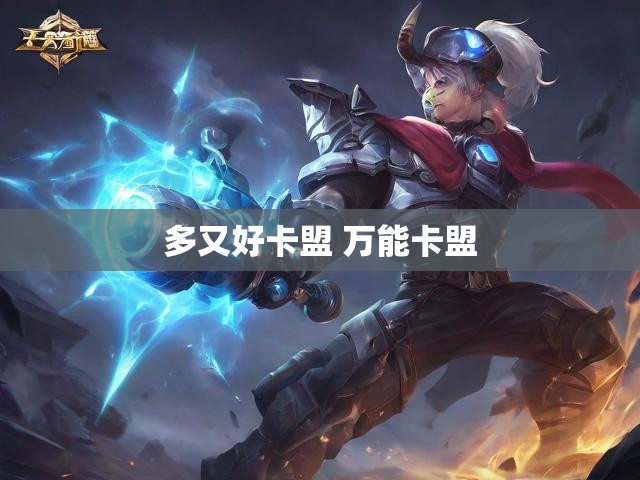 多又好卡盟 万能卡盟