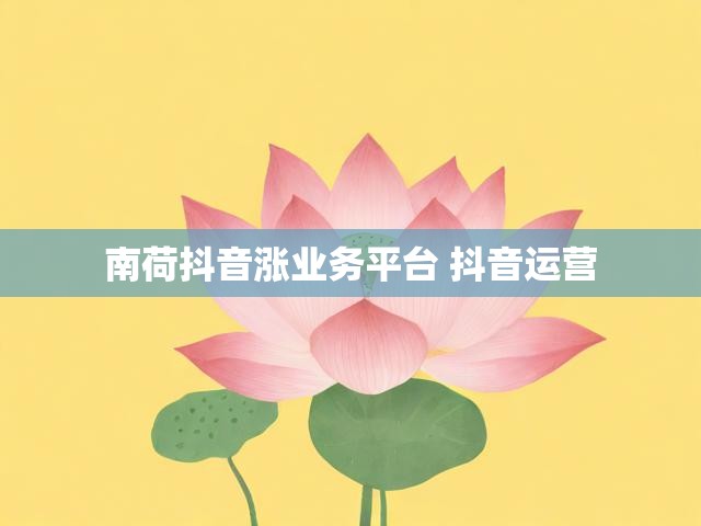南荷抖音涨业务平台 抖音运营
