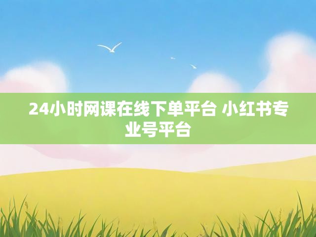 24小时网课在线下单平台 小红书专业号平台