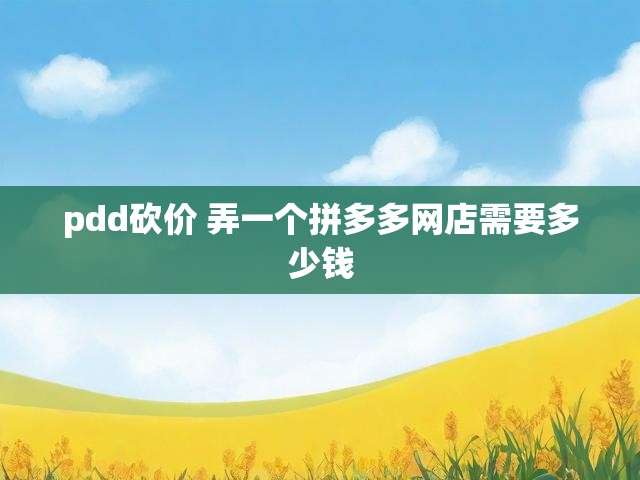 pdd砍价 弄一个拼多多网店需要多少钱