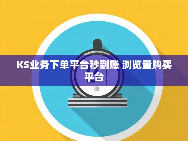 KS业务下单平台秒到账 浏览量购买平台